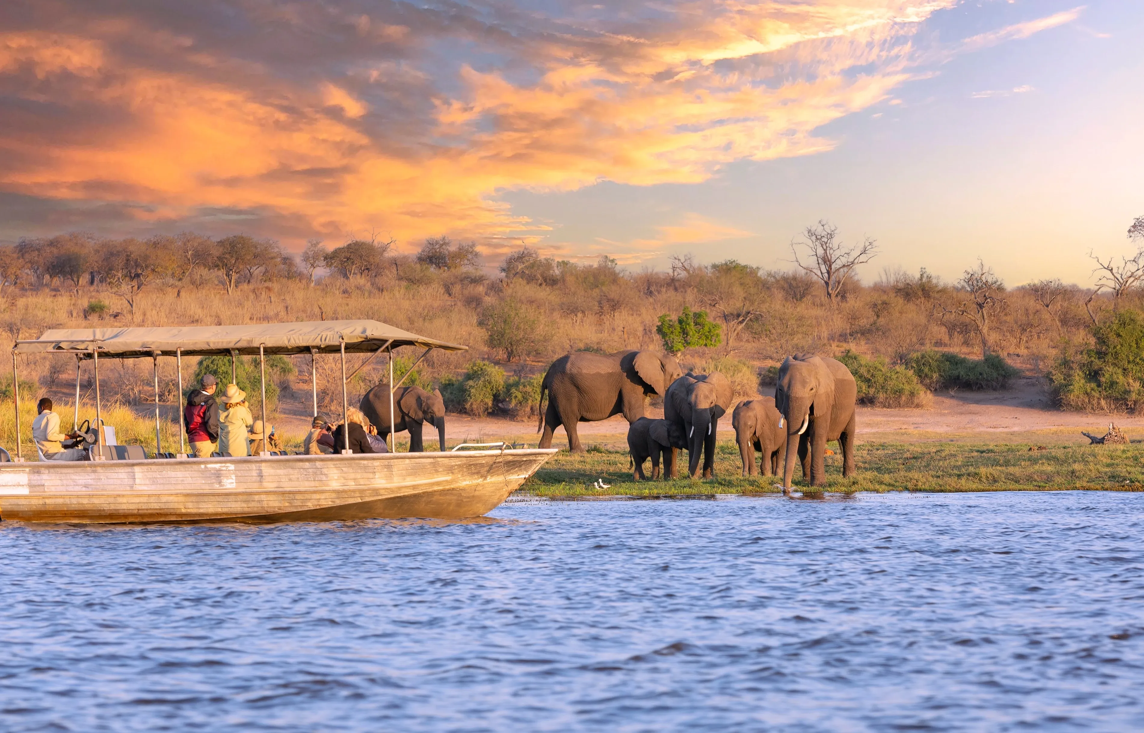 Botswana wilderness view