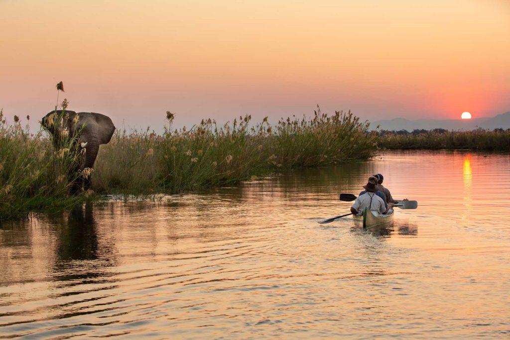 Zimbabwe safari experience detail