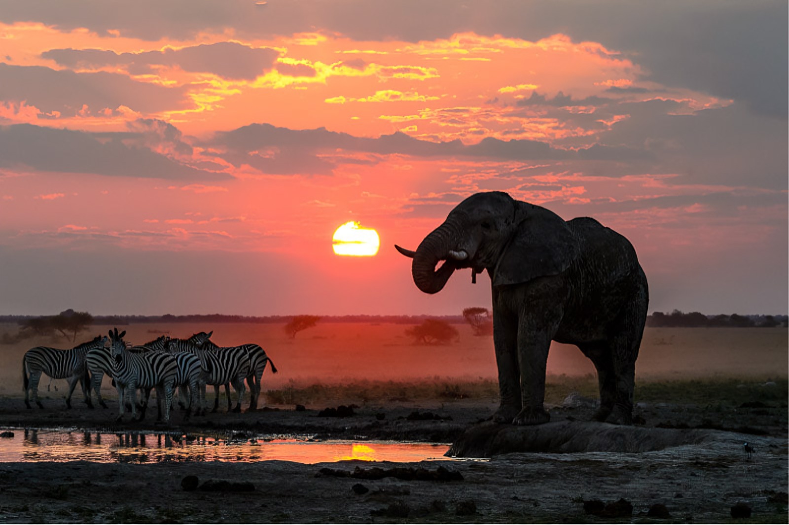 Botswana wilderness landscape