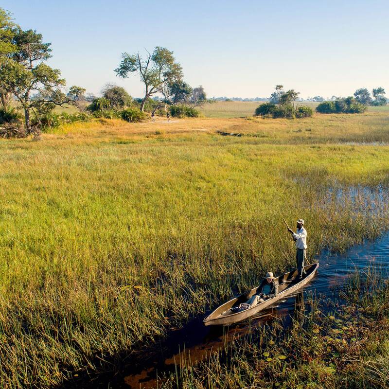 Botswana safari landscape and wildlife
