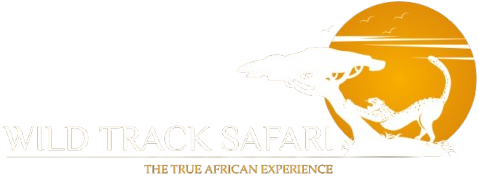 Wild Track Safari